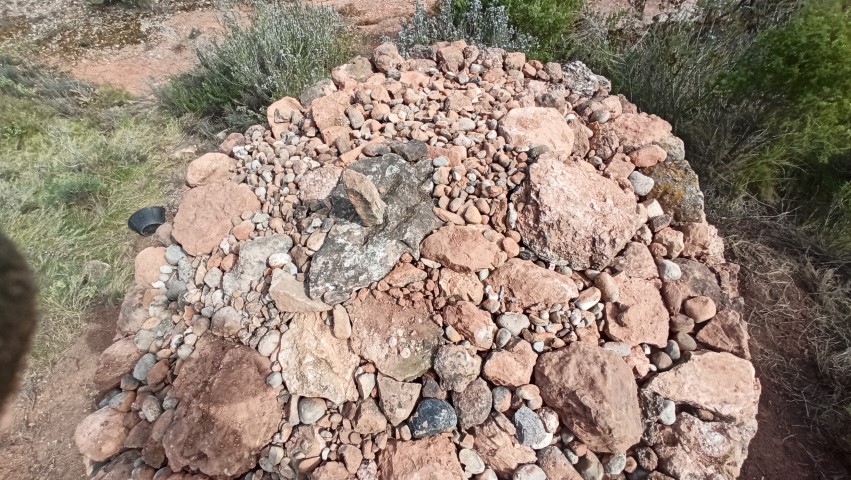 B151 PedruscallCoberta Pequeo