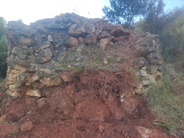 B188 PARETesfondrada2024