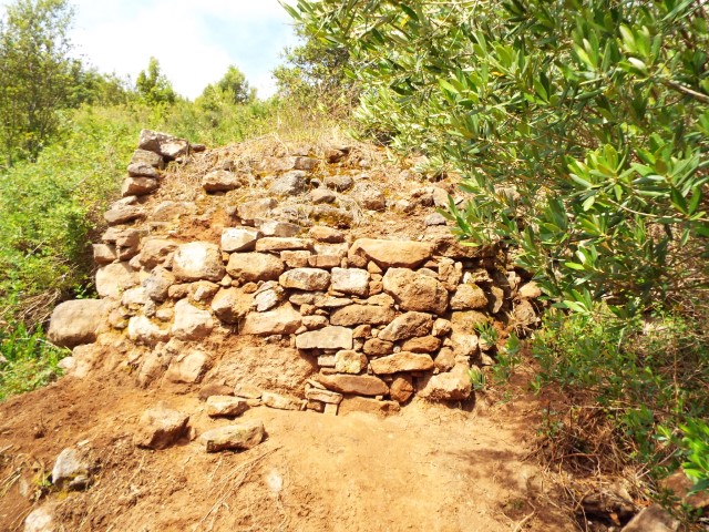 B426Pujantparet Pequeo