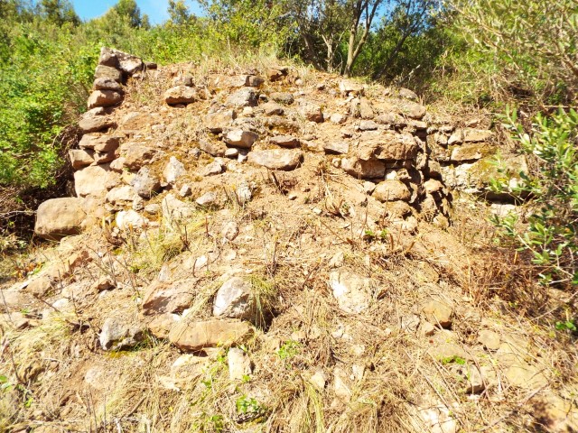 B426 ParetEnsorrada Pequeo