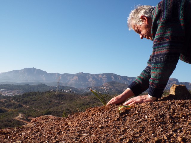 B299 InaugurAntonell