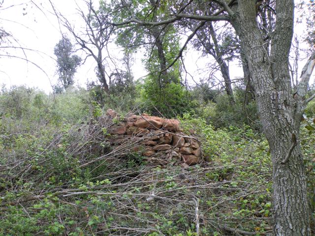 barraca del roure sense cremar