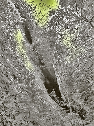 torta cova boca2 small