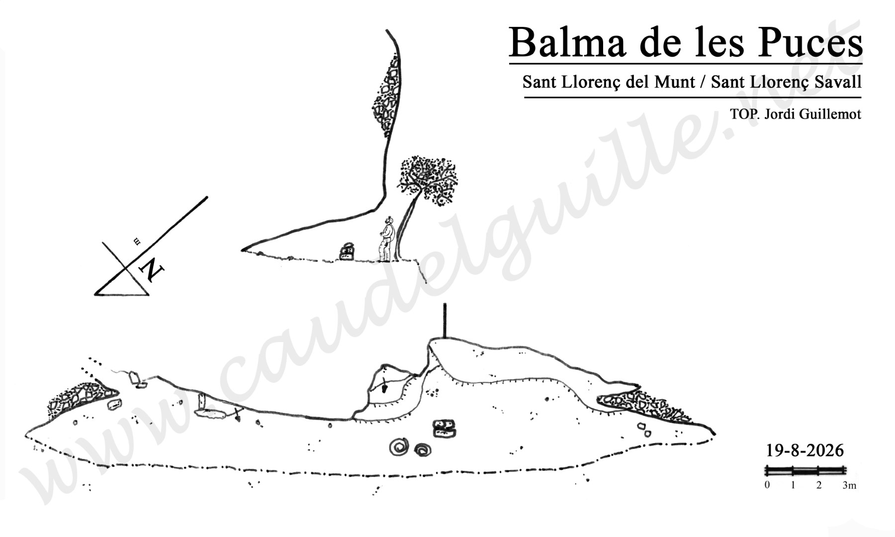 Puces balmaWEBTOP Grande