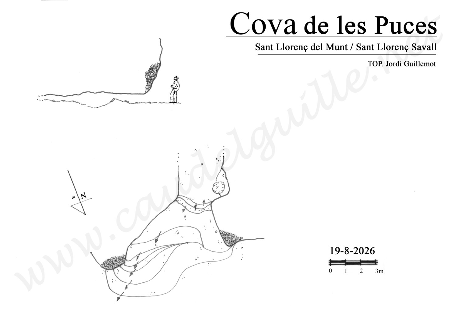 Puces cova WEBTOP Grande